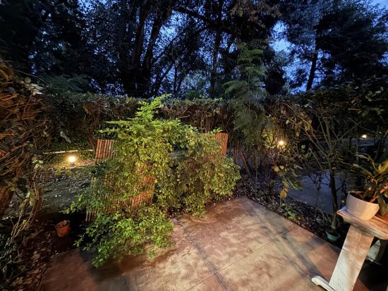 Departamento en Alquiler - Bosque Alto