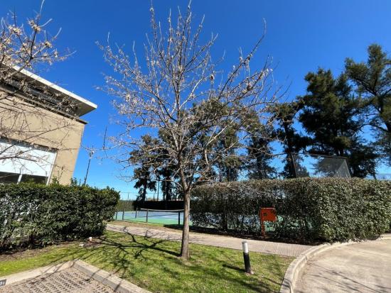 Departamento en Alquiler - Bosque Alto
