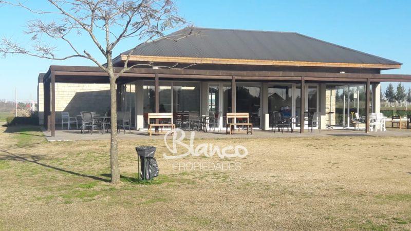 Imagen 9