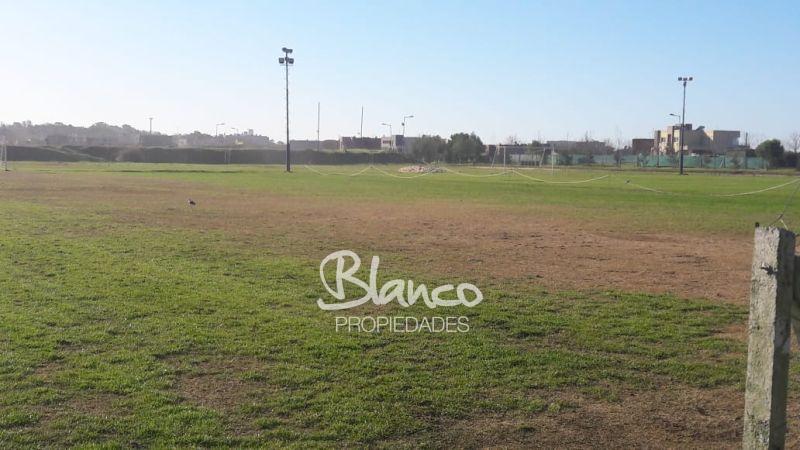Imagen 8