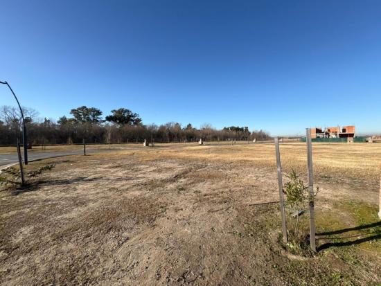 Lote Interno en Puertos - Nativas