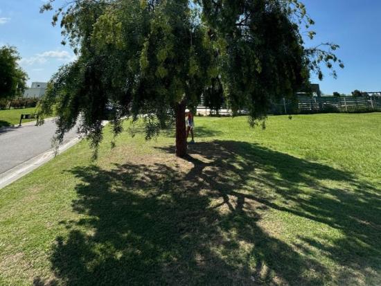 Lote Interno en Área 1 - San Sebastián