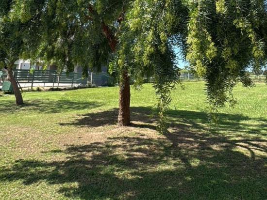 Lote Interno en Área 1 - San Sebastián