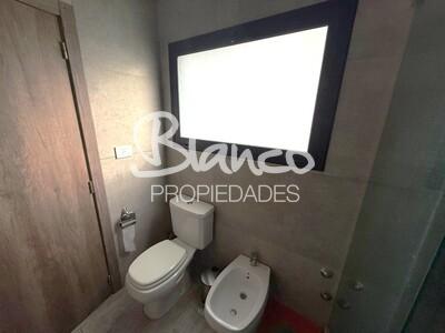 Imagen 15