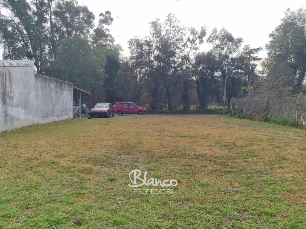 Imagen 4