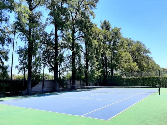 Departamento en Planta Baja en Alquiler en Bosque Alto