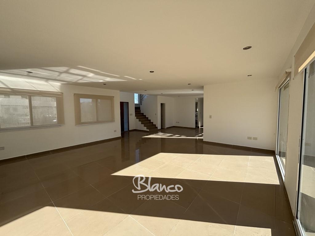 Imagen 6